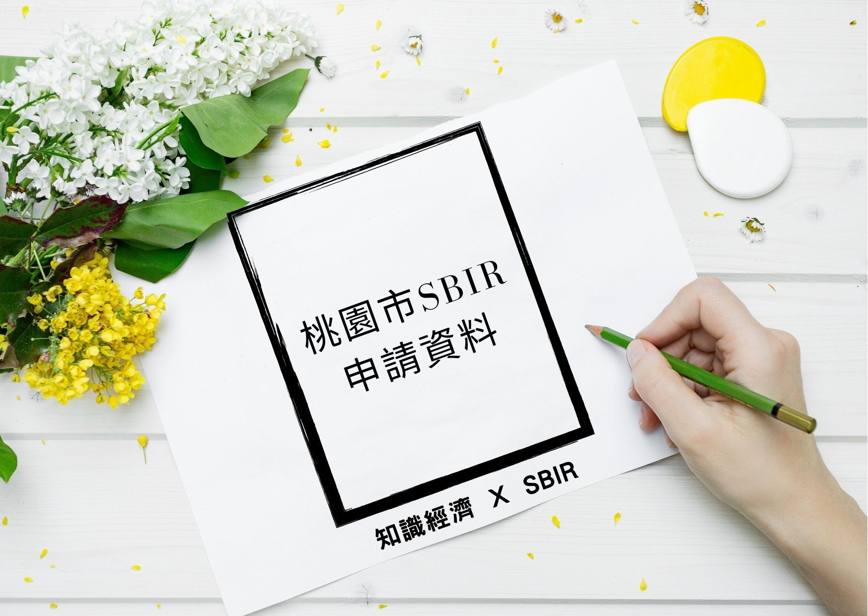 桃園市SBIR申請資料